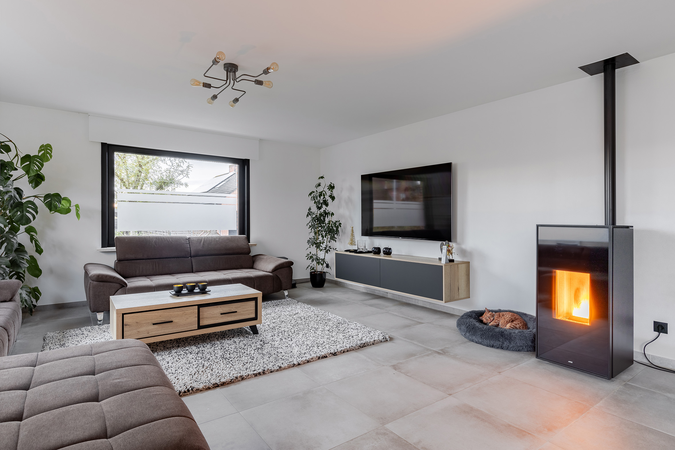 Modern ingerichte woonkamer met haardvuur, comfortabele banken, grote televisie en planten bij raam